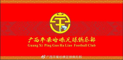 瞄准两连胜 广西公布对阵青岛西海岸票务,vip席50元,最低15元